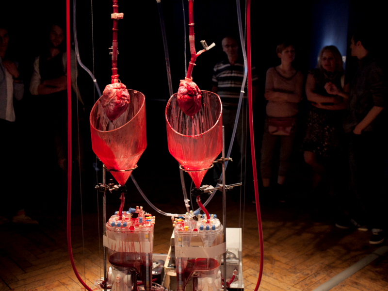 The Body is a Big Place, Helen Pynor and Peta Clancy.